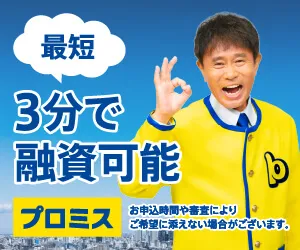 プロミスのバナー1